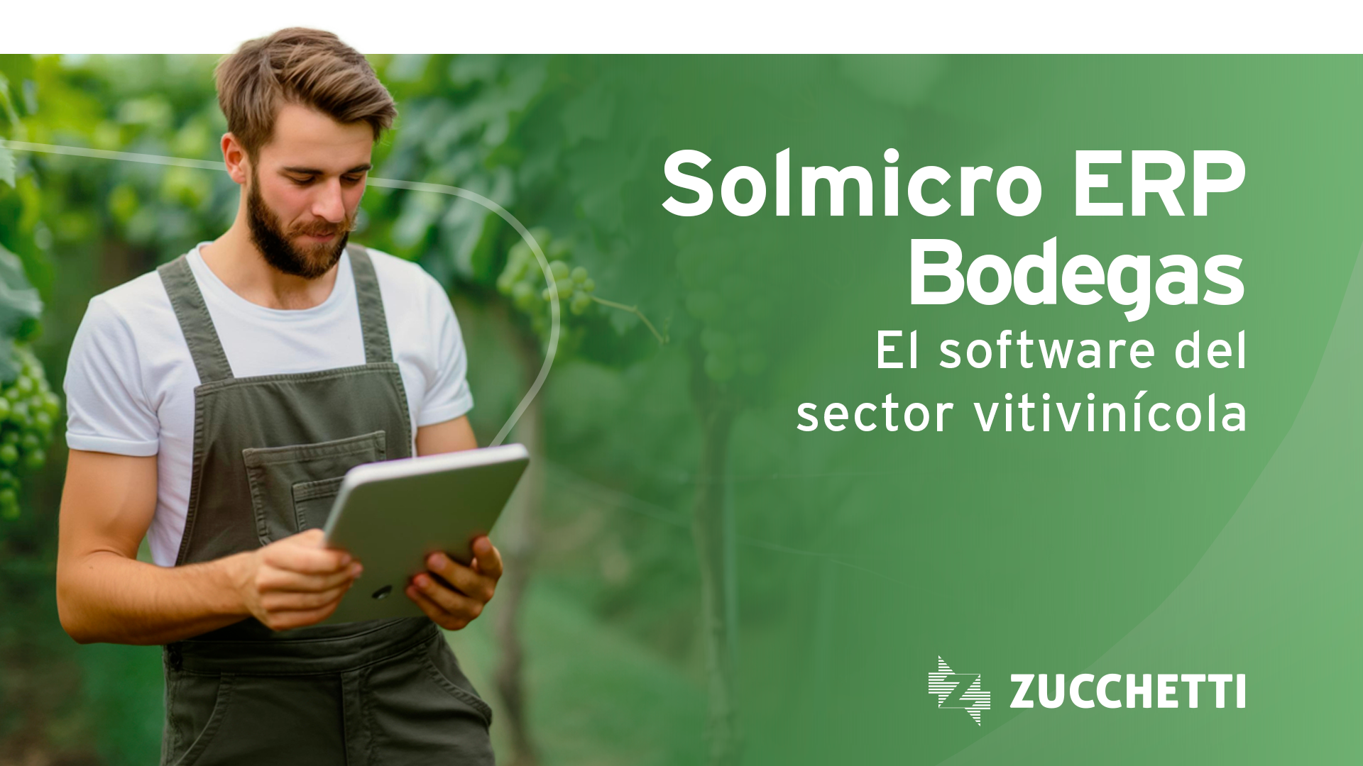 Claves para una bodega realmente rentable